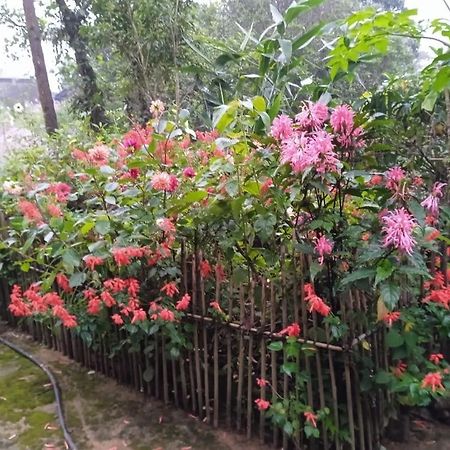 Meikha Homestay Pynursla Екстериор снимка
