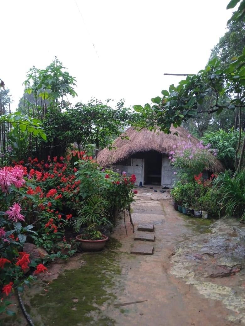 Meikha Homestay Pynursla Екстериор снимка