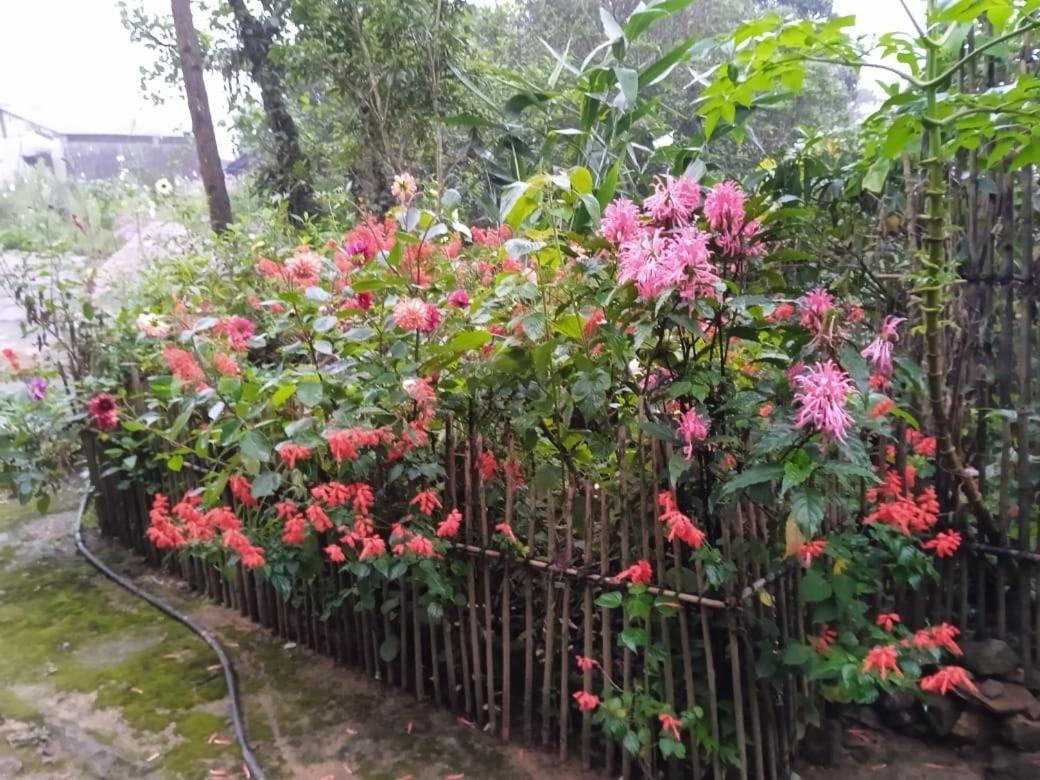 Meikha Homestay Pynursla Екстериор снимка
